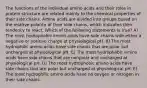 The functions of the individual amino acids and their roles in protein structure are related mainly to the chemical properties of their side chains. Amino acids are divided into groups based on the relative polarity of their side chains, which indicates their tendency to react. Which of the following statements is true? A) The most hydrophobic amino acids have side chains with either a negative or positive charge at physiological pH. B) The most hydrophilic amino acids have side chains that are polar but uncharged at physiological pH. C) The most hydrophobic amino acids have side chains that are nonpolar and uncharged at physiological pH. D) The most hydrophobic amino acids have side chains that are polar but uncharged at physiological pH. E) The most hydrophilic amino acids have no oxygen or nitrogen in their side chains.