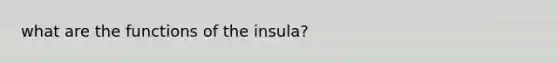 what are the functions of the insula?