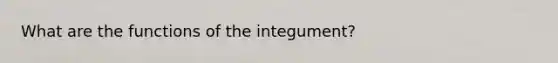 What are the functions of the integument?