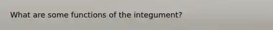 What are some functions of the integument?