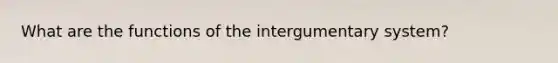 What are the functions of the intergumentary system?