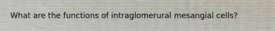 What are the functions of intraglomerural mesangial cells?