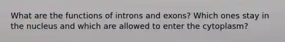 What are the functions of introns and exons? Which ones stay in the nucleus and which are allowed to enter the cytoplasm?