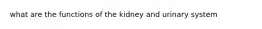 what are the functions of the kidney and urinary system