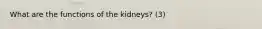 What are the functions of the kidneys? (3)