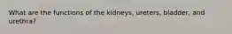 What are the functions of the kidneys, ureters, bladder, and urethra?