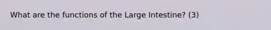 What are the functions of the Large Intestine? (3)