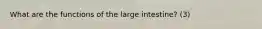 What are the functions of the large intestine? (3)