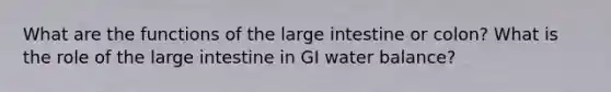 What are the functions of the large intestine or colon? What is the role of the large intestine in GI water balance?