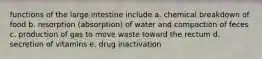 functions of the large intestine include a. chemical breakdown of food b. resorption (absorption) of water and compaction of feces c. production of gas to move waste toward the rectum d. secretion of vitamins e. drug inactivation