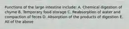 Functions of the large intestine include: A. Chemical digestion of chyme B. Temporary food storage C. Reabsorption of water and compaction of feces D. Absorption of the products of digestion E. All of the above