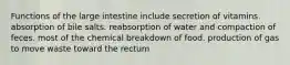 Functions of the large intestine include secretion of vitamins. absorption of bile salts. reabsorption of water and compaction of feces. most of the chemical breakdown of food. production of gas to move waste toward the rectum