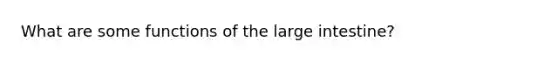 What are some functions of the large intestine?