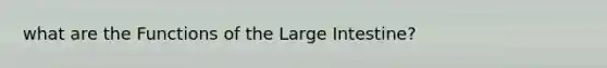 what are the Functions of the Large Intestine?