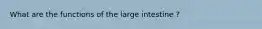 What are the functions of the large intestine ?
