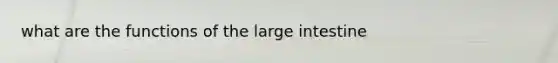 what are the functions of the large intestine