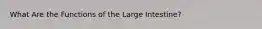 What Are the Functions of the Large Intestine?