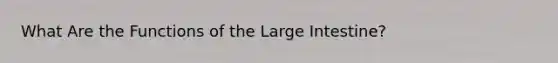 What Are the Functions of the Large Intestine?