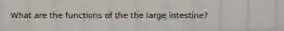 What are the functions of the the large intestine?