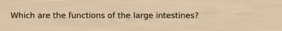 Which are the functions of the <a href='https://www.questionai.com/knowledge/kGQjby07OK-large-intestine' class='anchor-knowledge'>large intestine</a>s?