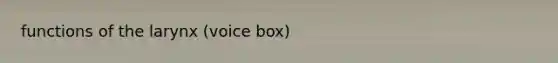 functions of the larynx (voice box)