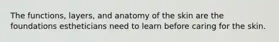 The functions, layers, and anatomy of the skin are the foundations estheticians need to learn before caring for the skin.