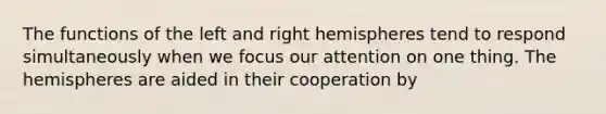 The functions of the left and right hemispheres tend to respond simultaneously when we focus our attention on one thing. The hemispheres are aided in their cooperation by