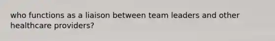 who functions as a liaison between team leaders and other healthcare providers?