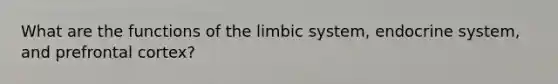 What are the functions of the limbic system, endocrine system, and prefrontal cortex?