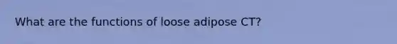 What are the functions of loose adipose CT?