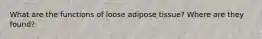 What are the functions of loose adipose tissue? Where are they found?