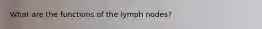 What are the functions of the lymph nodes?