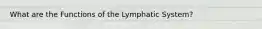 What are the Functions of the Lymphatic System?