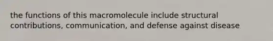 the functions of this macromolecule include structural contributions, communication, and defense against disease