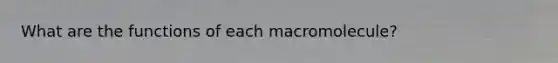 What are the functions of each macromolecule?