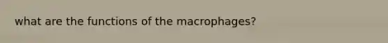 what are the functions of the macrophages?