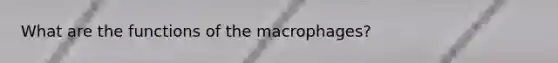 What are the functions of the macrophages?