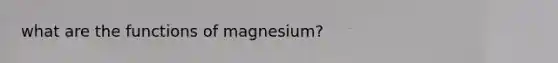 what are the functions of magnesium?