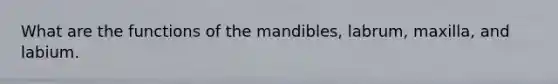 What are the functions of the mandibles, labrum, maxilla, and labium.