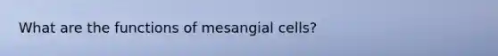 What are the functions of mesangial cells?