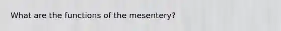 What are the functions of the mesentery?