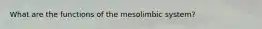 What are the functions of the mesolimbic system?