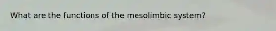 What are the functions of the mesolimbic system?