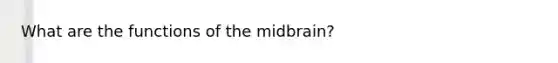 What are the functions of the midbrain?