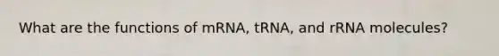 What are the functions of mRNA, tRNA, and rRNA molecules?