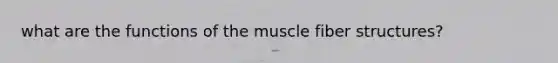 what are the functions of the muscle fiber structures?