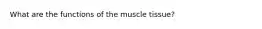 What are the functions of the muscle tissue?