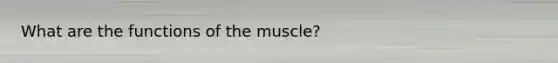 What are the functions of the muscle?