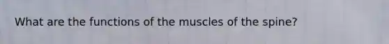 What are the functions of the muscles of the spine?