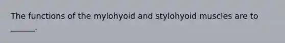 The functions of the mylohyoid and stylohyoid muscles are to ______.